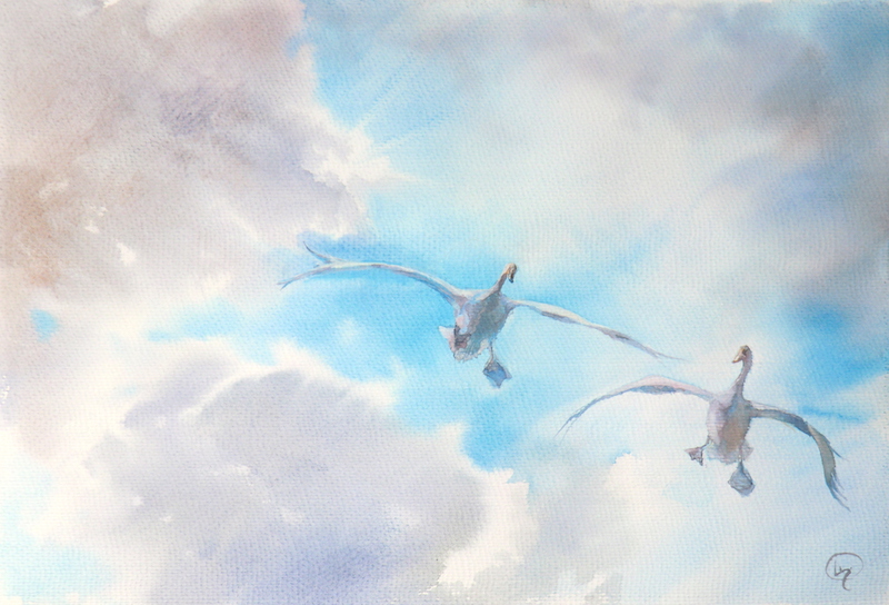 лебеди птицы картины фен шуй художник